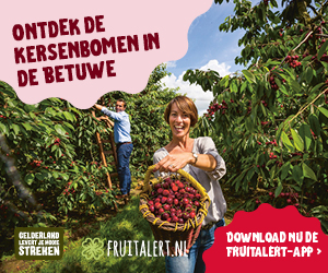 Kersenbanner - Stichting Bureau Toerisme