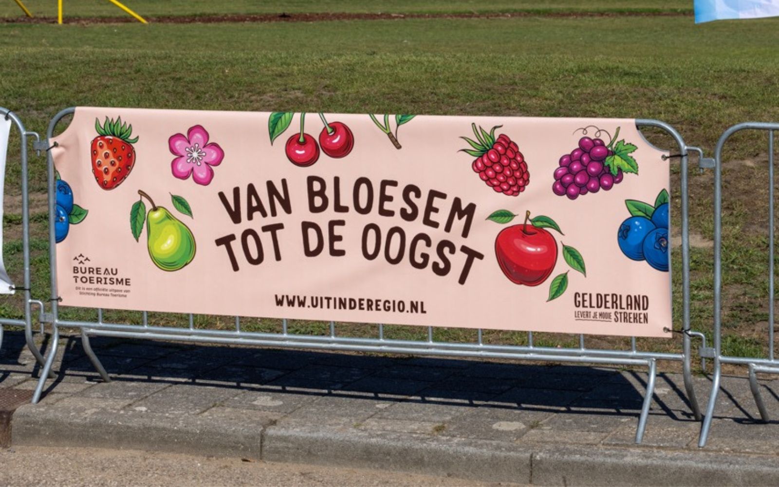 Dranghekdoeken