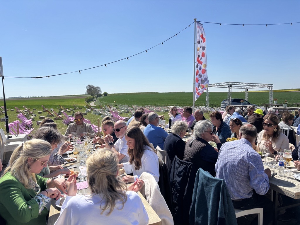 Group of people dining at long outdoor wooden table in a rural field on a sunny day; string lights above and a banner nearby.