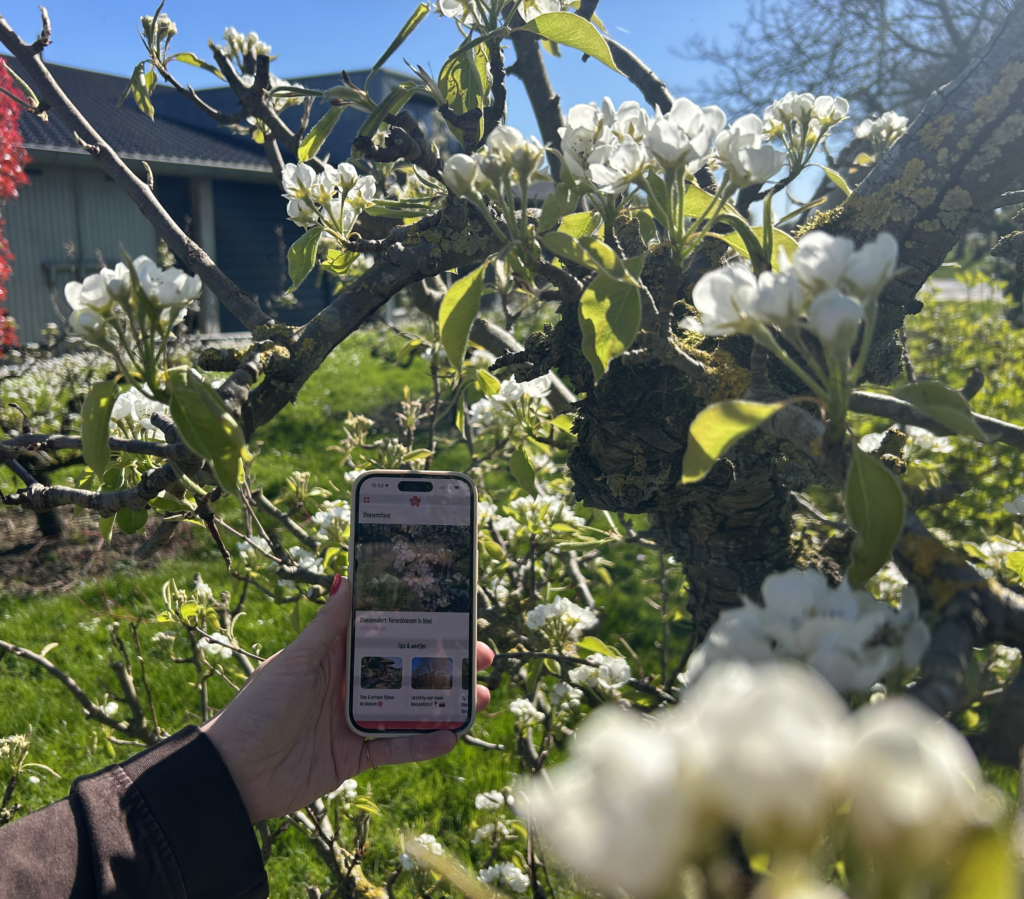 Bloesemalert-app