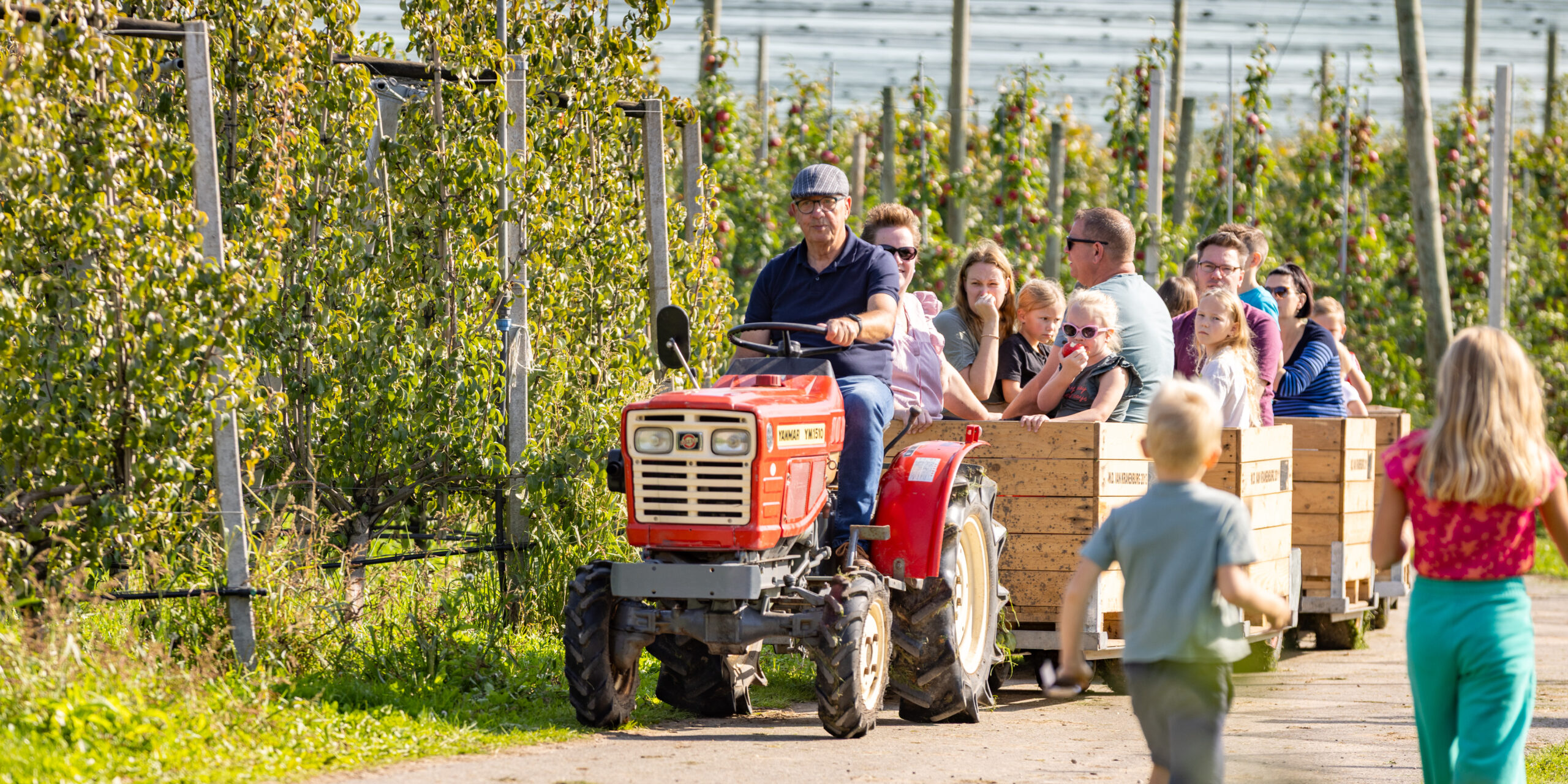 Agrotoerisme in het Rivierengebied