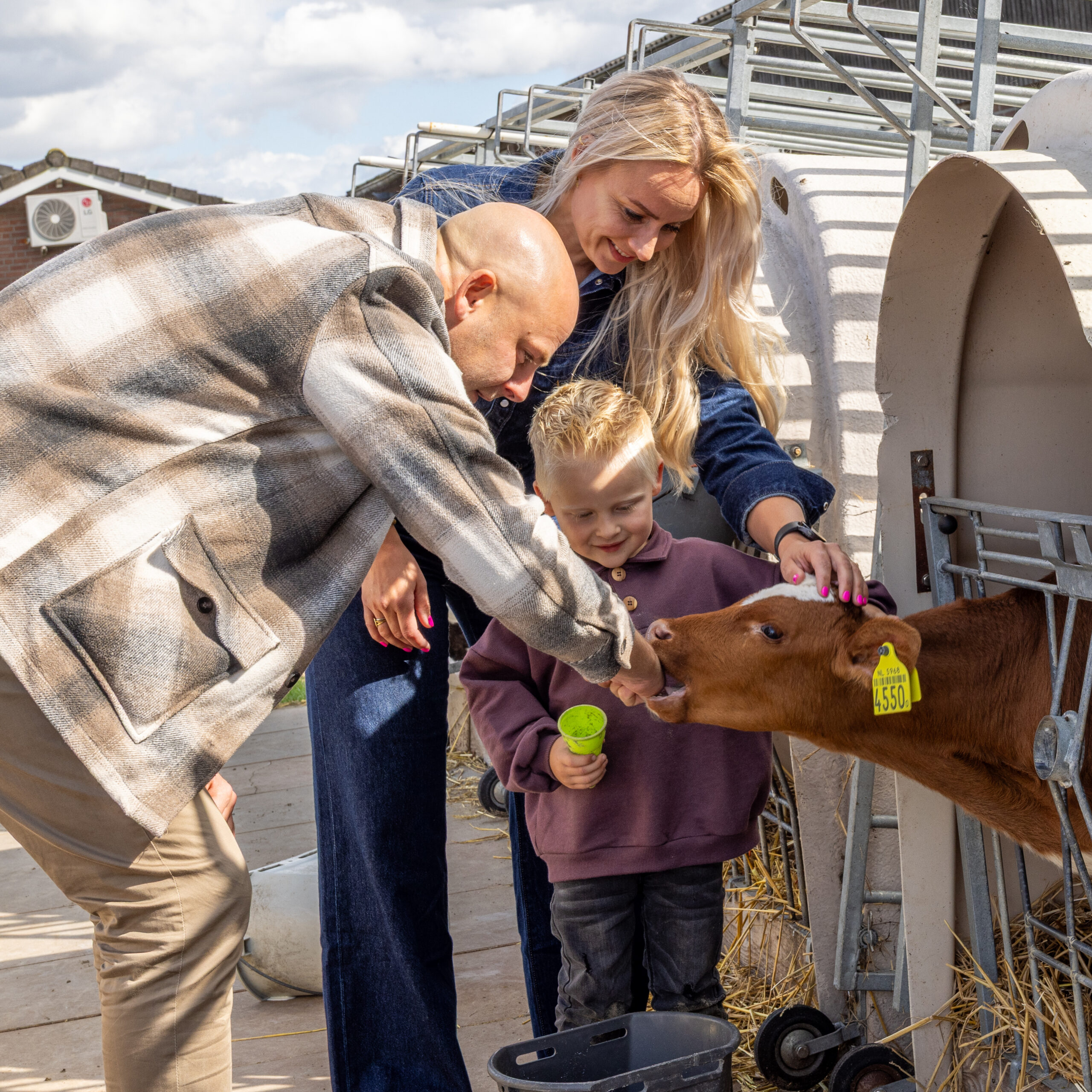Een gezin maakt kennis met een kalf bij IJsboerderij de Schoonheuvel