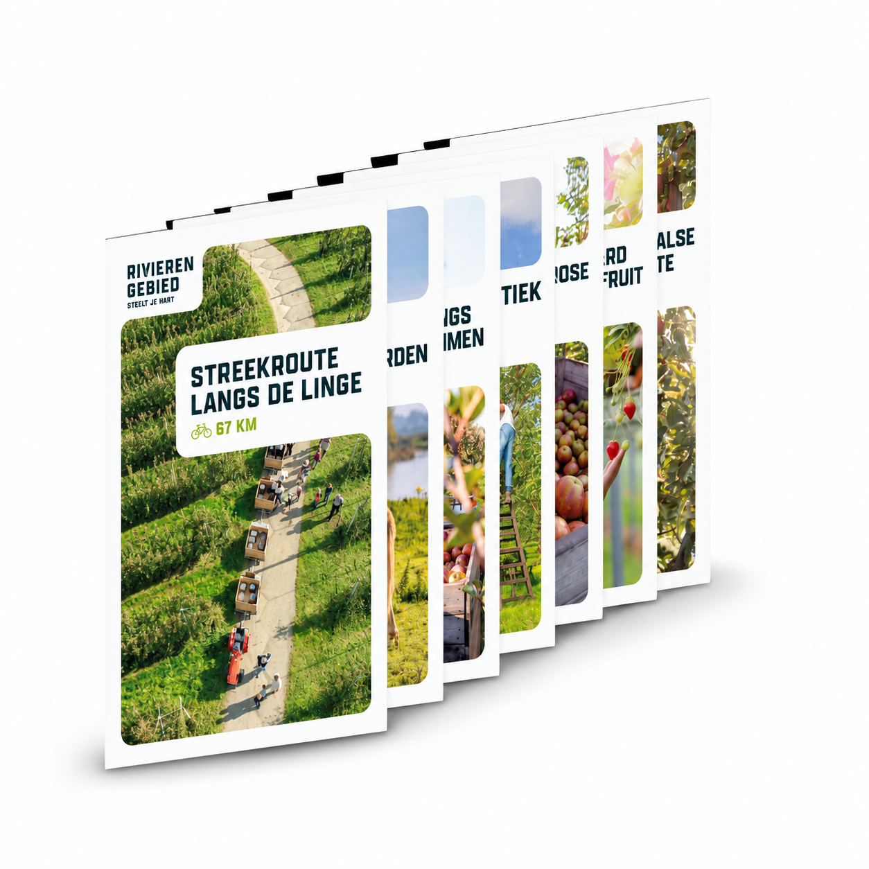 Bundel streekroutes door het Rivierengebied